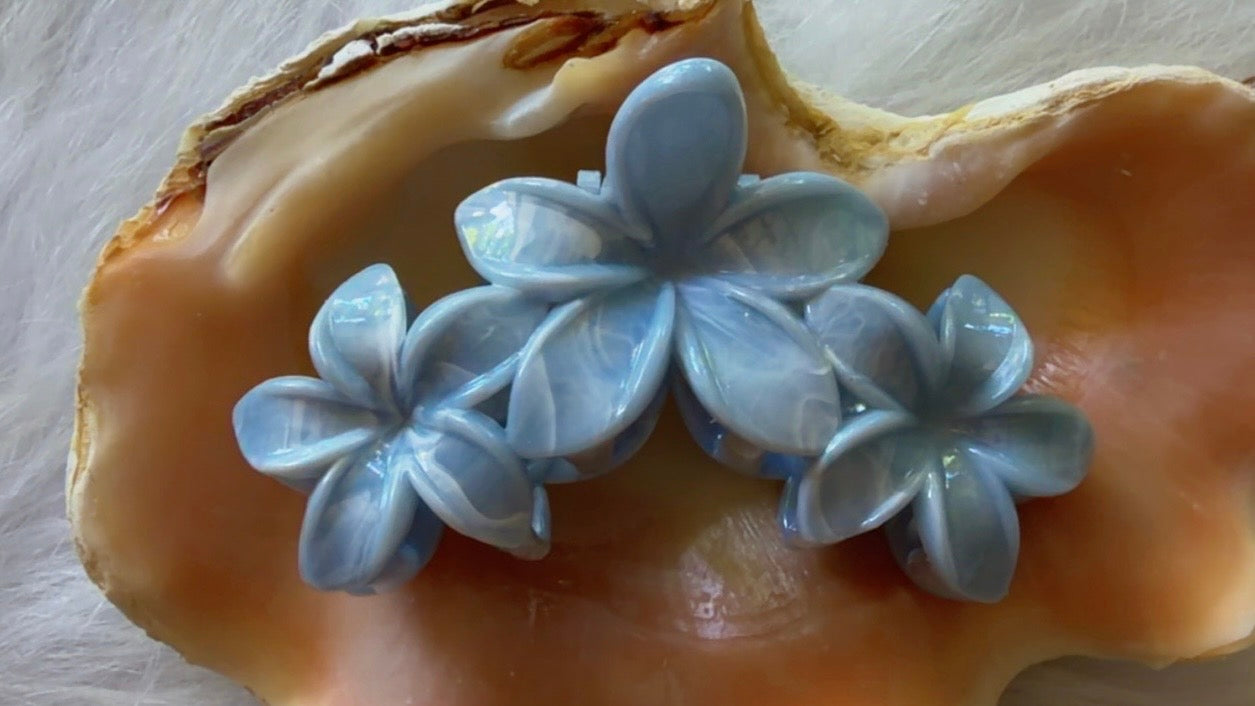 Pinces à cheveux