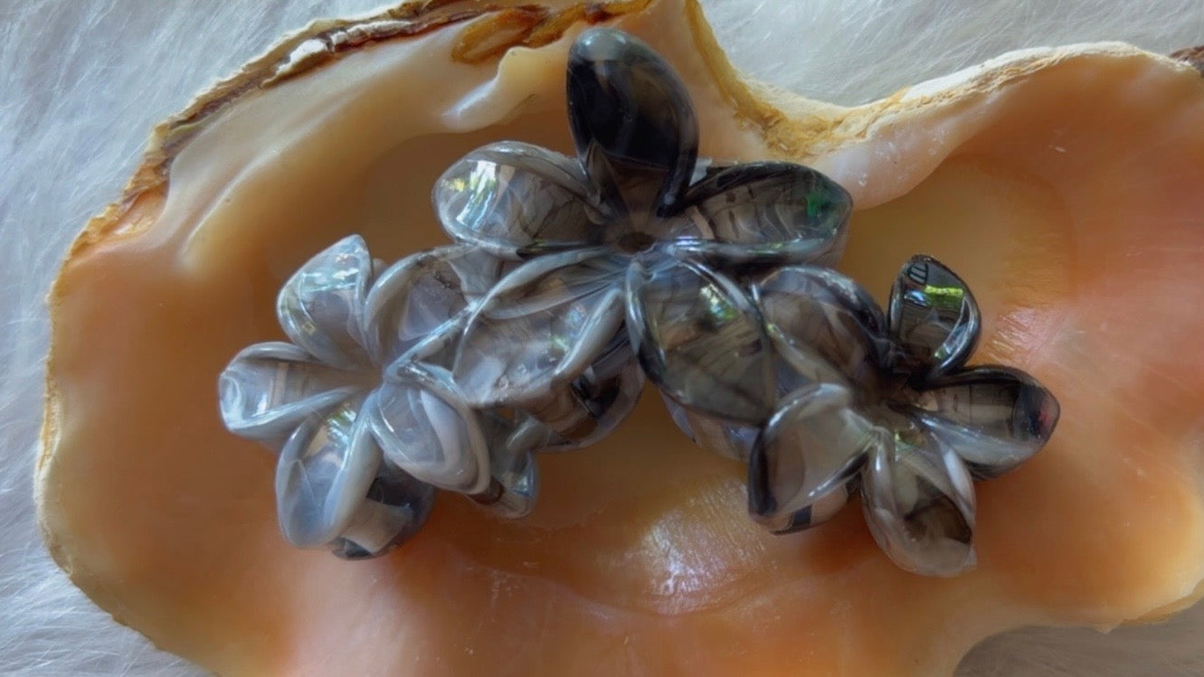 Pinces à cheveux