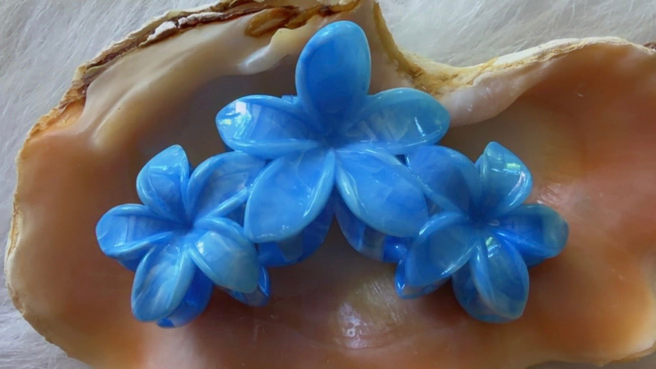 Pinces à cheveux