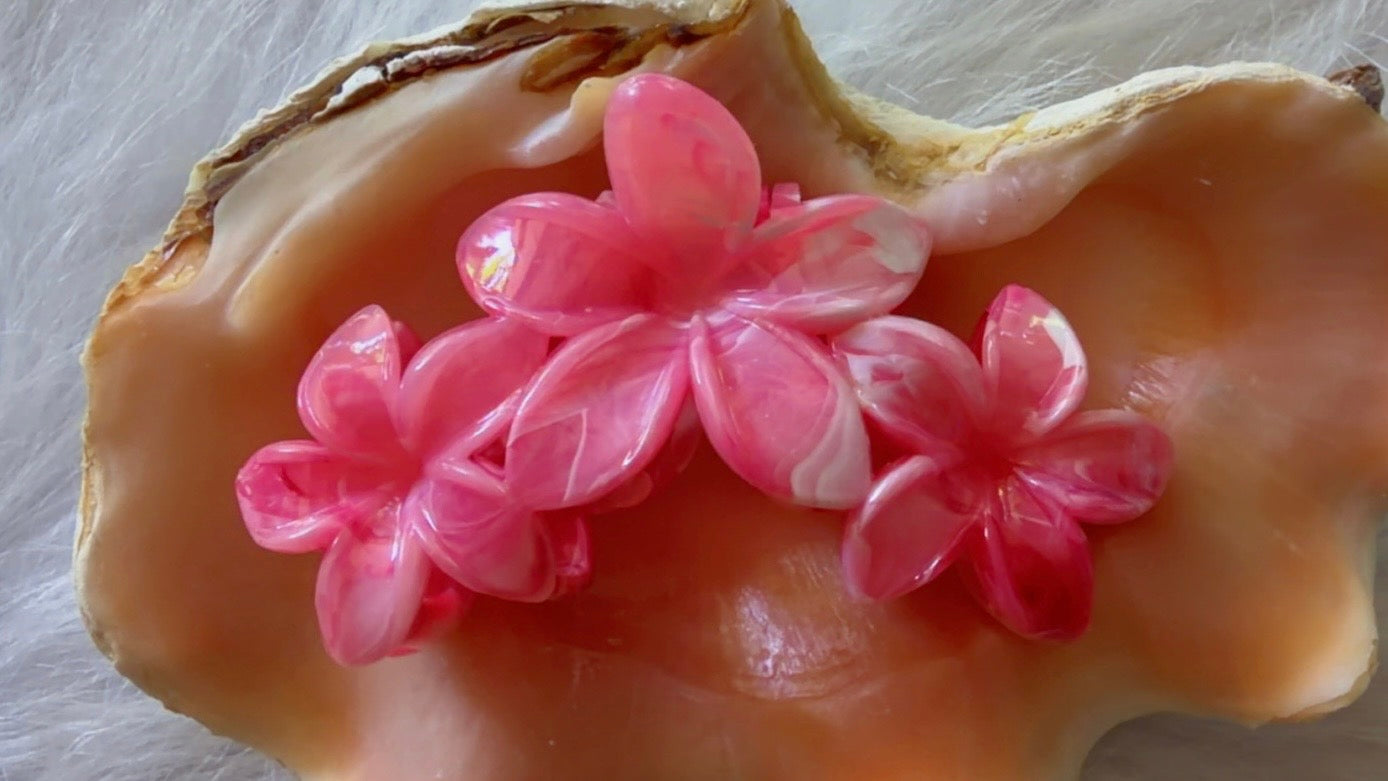 Pinces à cheveux