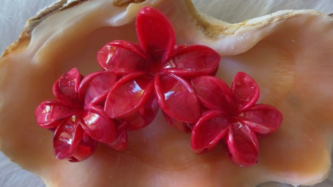 Pinces à cheveux