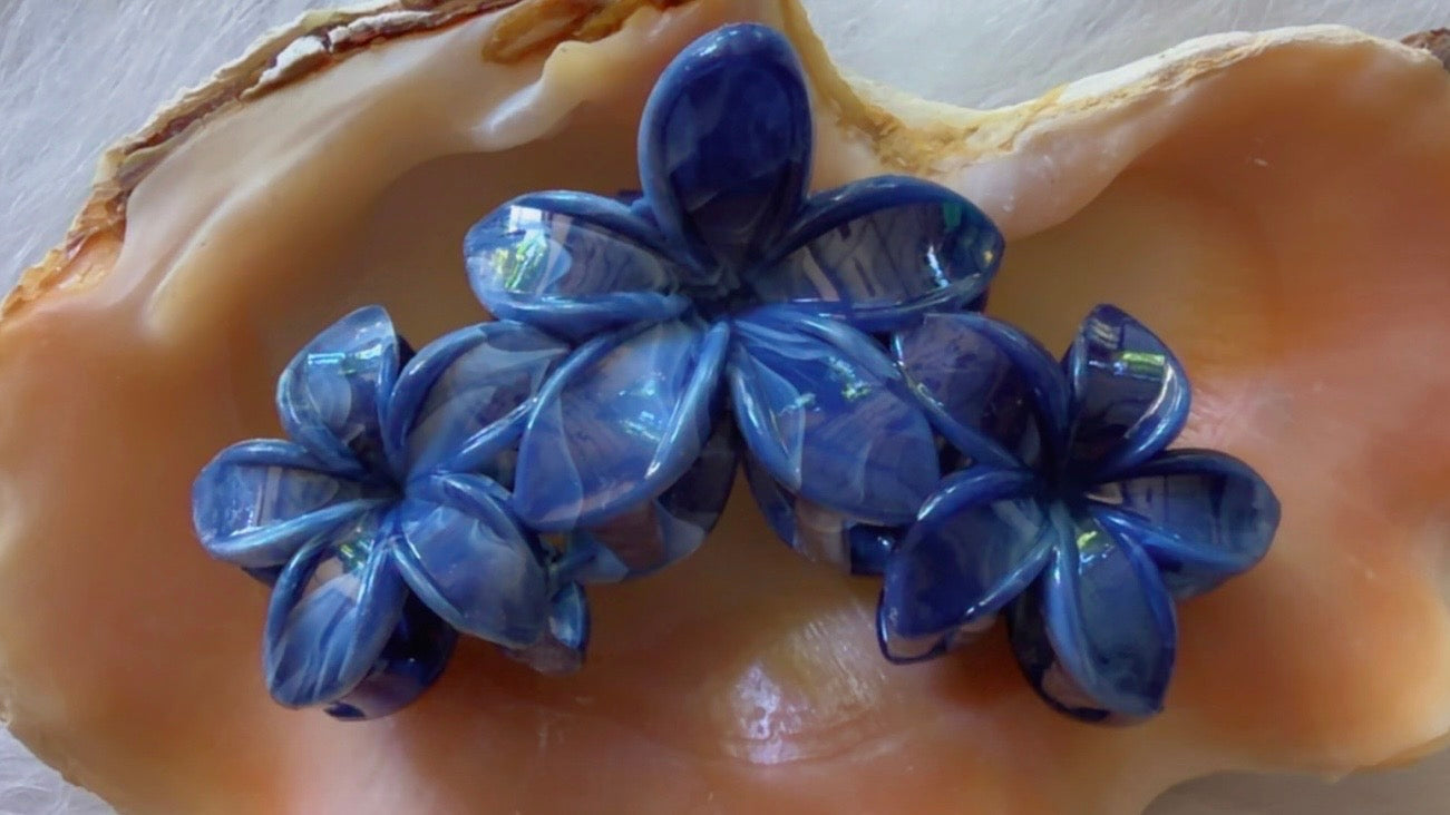 Pinces à cheveux