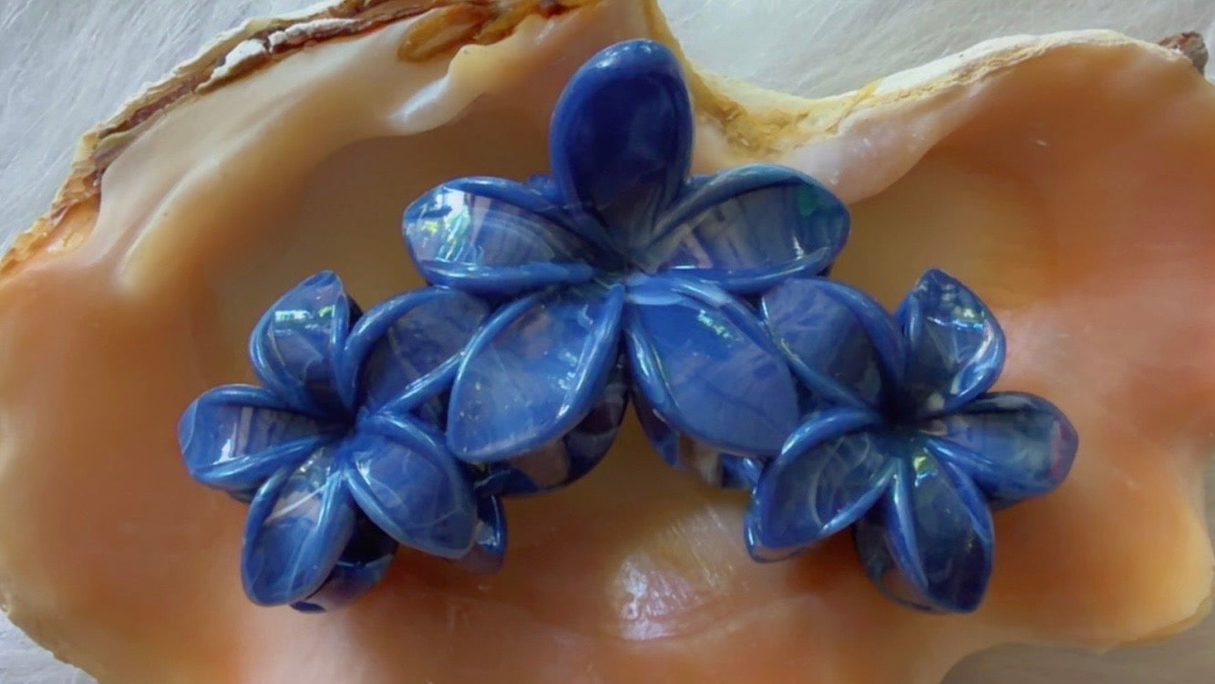 Pinces à cheveux