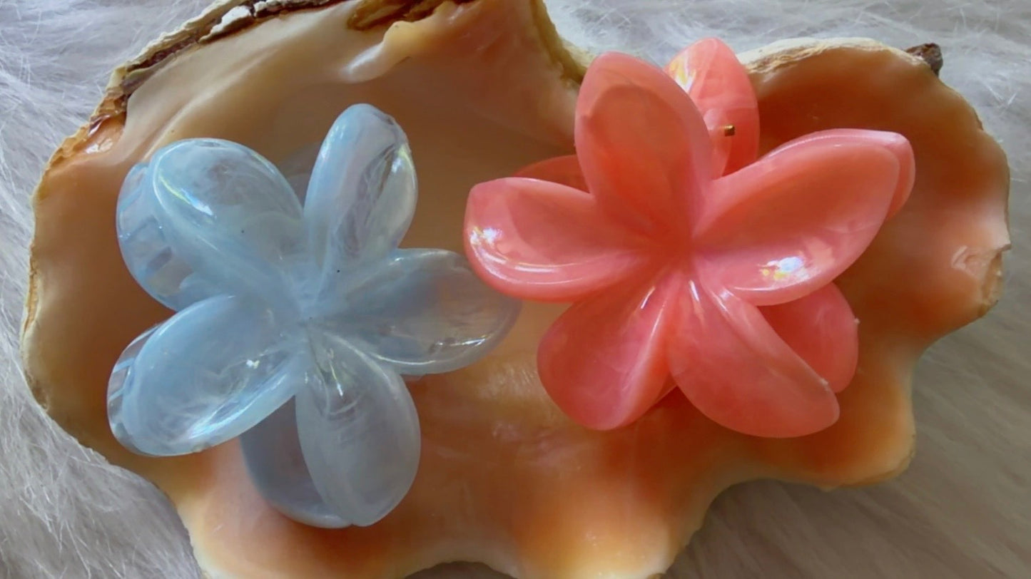 Mini Pinces à cheveux