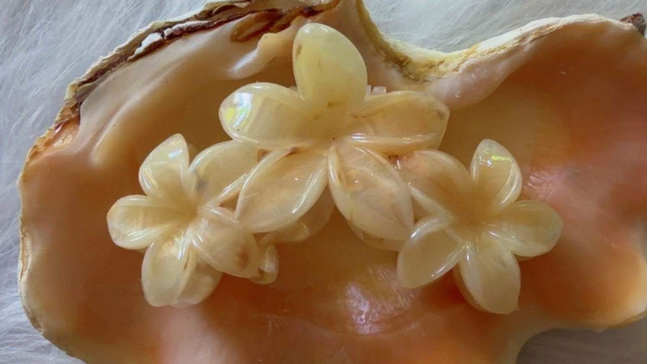 Pinces à cheveux