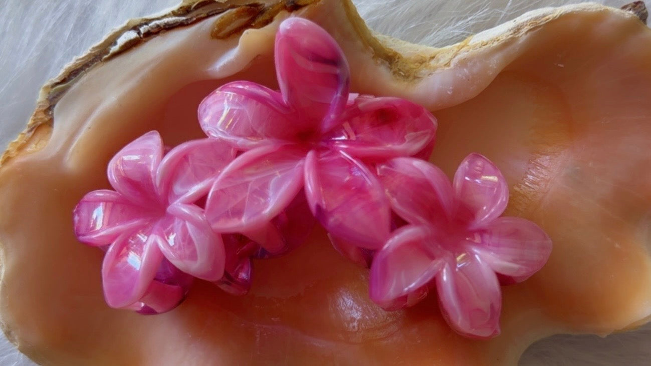 Pinces à cheveux