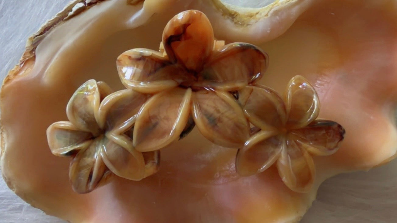 Pinces à cheveux