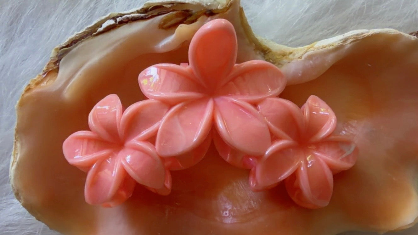Pinces à cheveux