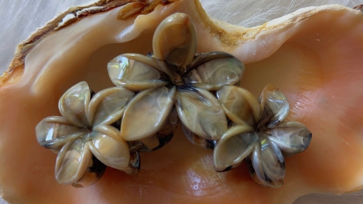 Pinces à cheveux