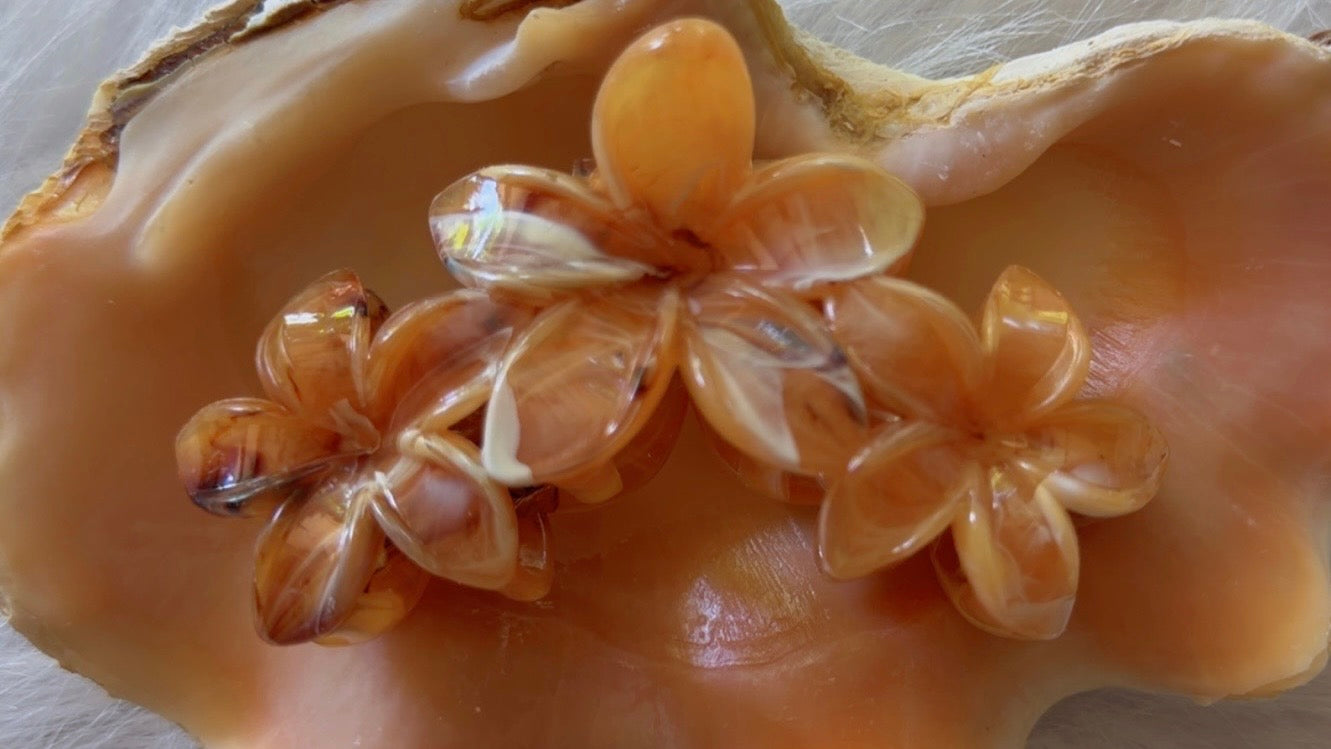 Pinces à cheveux