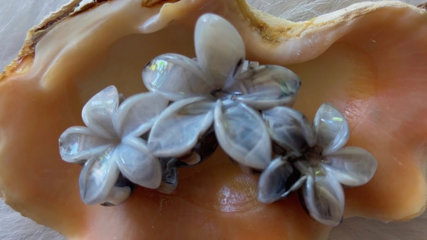 Pinces à cheveux