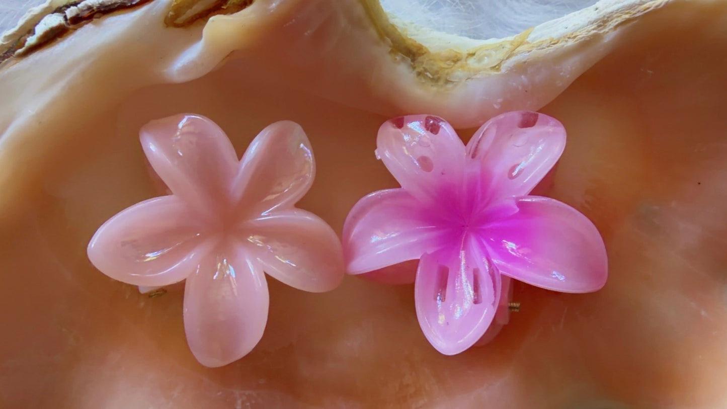 Mini Pinces à cheveux