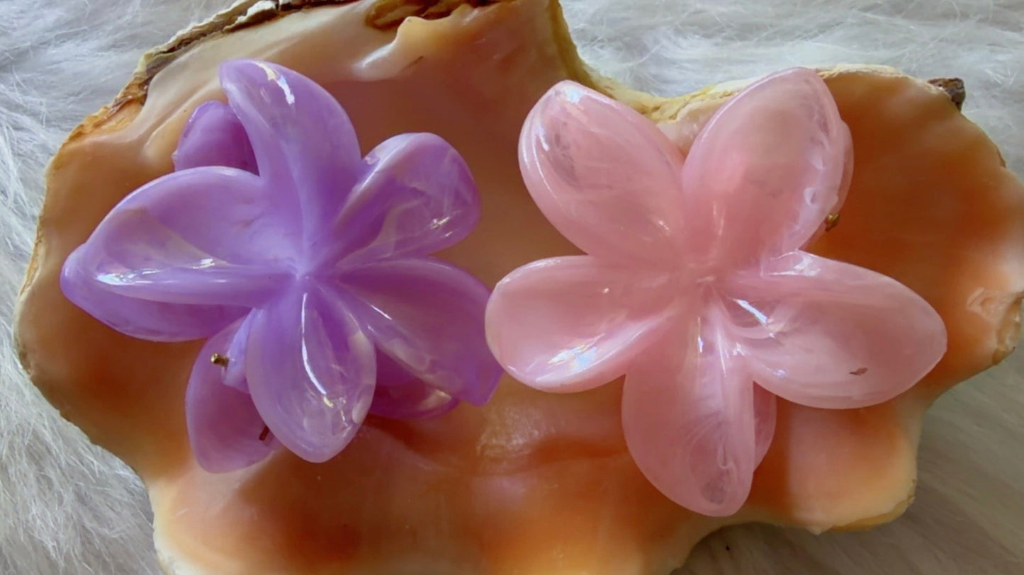 Mini Pinces à cheveux