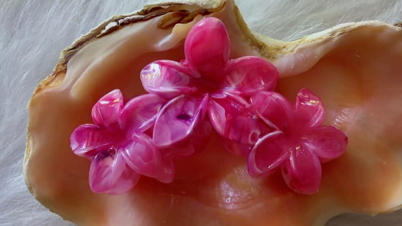 Pinces à cheveux