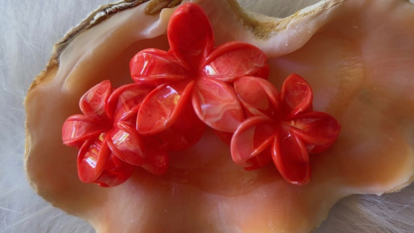 Pinces à cheveux