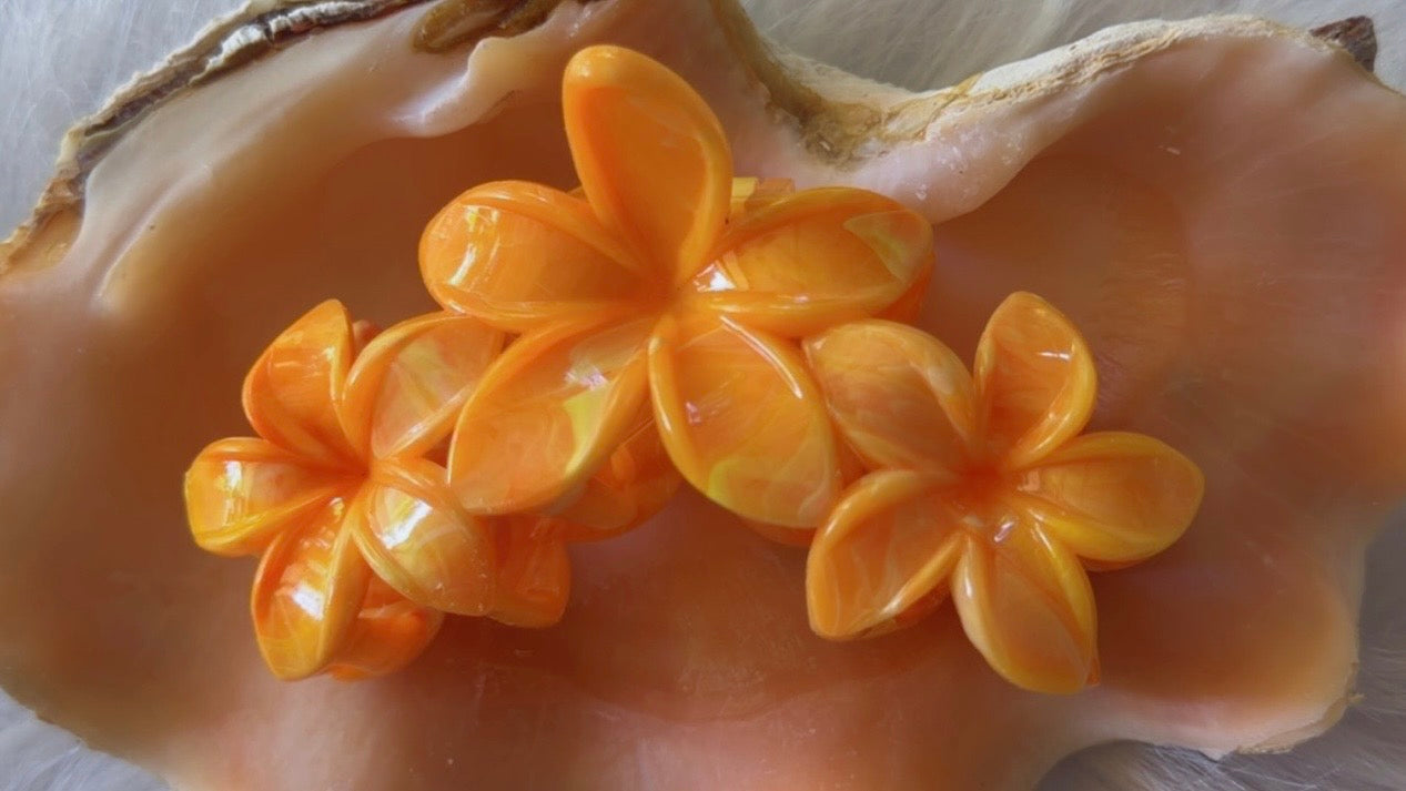 Pinces à cheveux