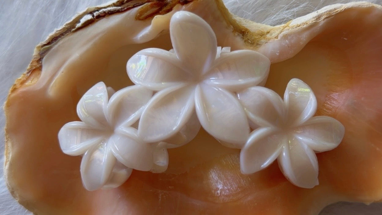 Pinces à cheveux