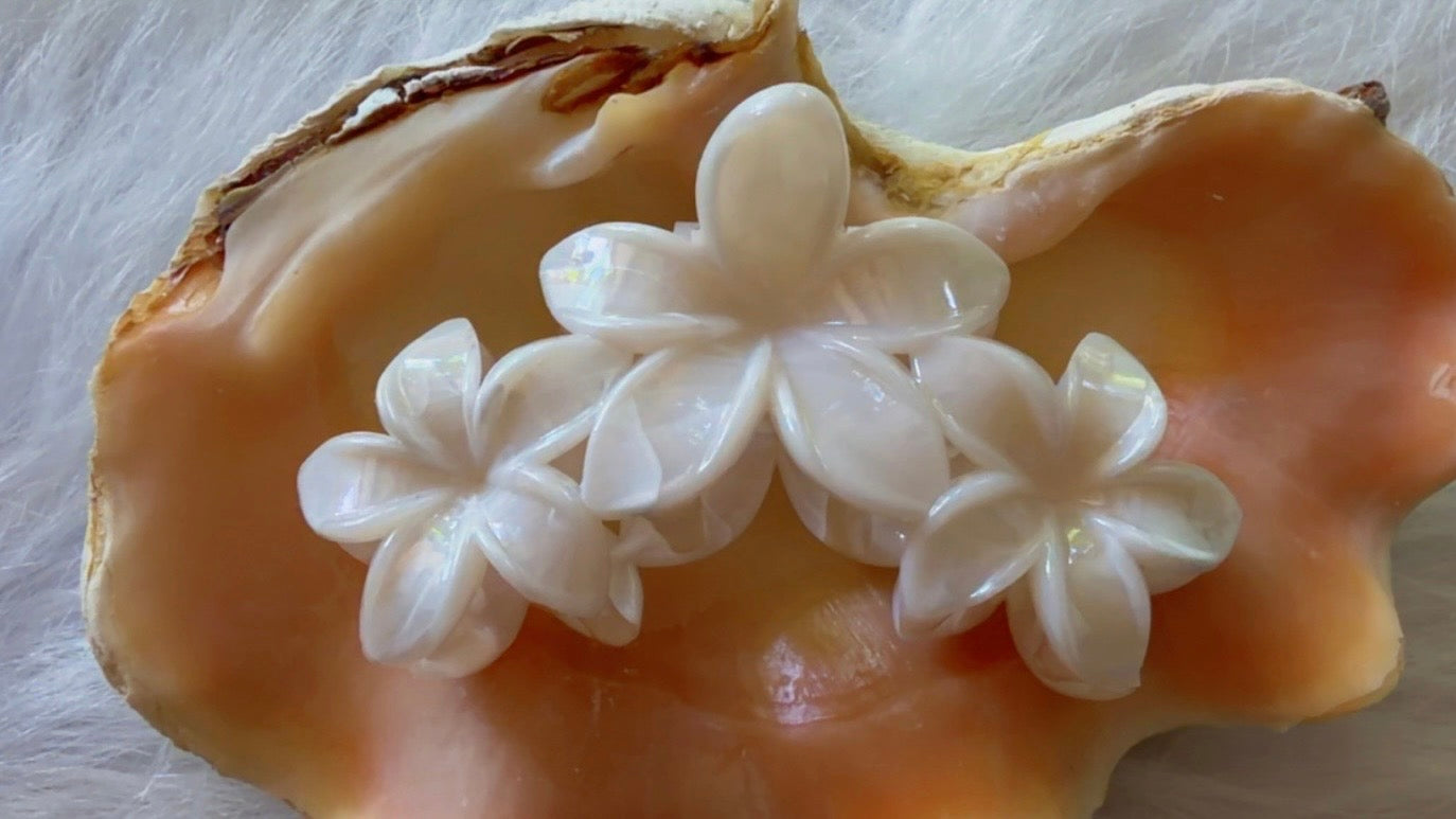 Pinces à cheveux