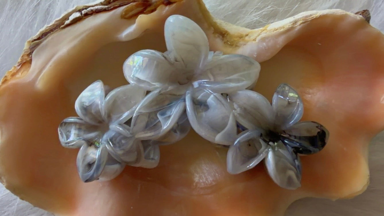 Pinces à cheveux