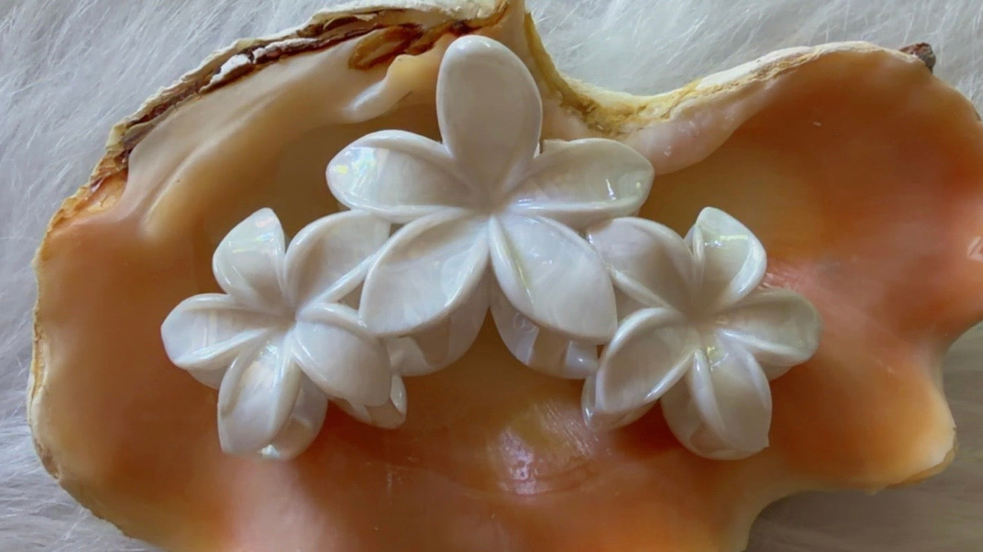 Pinces à cheveux