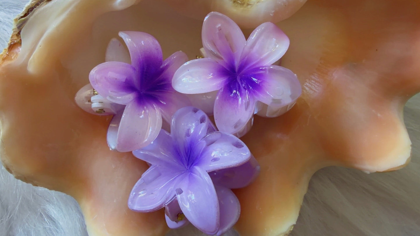Mini Pinces à cheveux